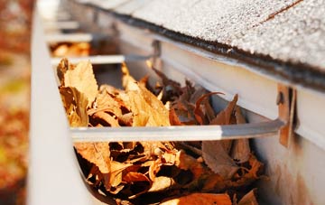 Brinton gutter cleaning companies